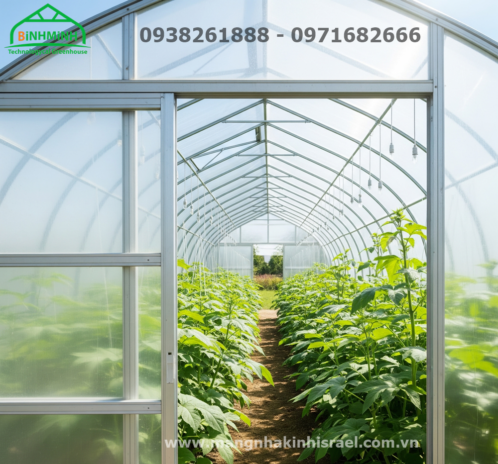 Màng Nhà Kính: Lựa Chọn Nào Tối Ưu Cho Mô Hình Nông Nghiệp Của Bạn?